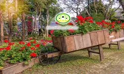 پوستردیواری طبیعت مزرعه کد 12506