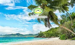 پوستردیواری غروب جنگل کد 12542