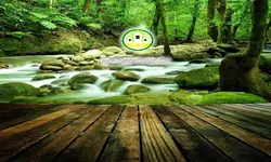 پوستردیواری رودخانه کد 12560