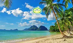 پوستردیواری ساحل  کد 12557