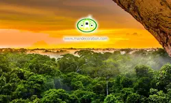 پوستردیواری دشت کد 12568