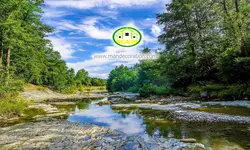 پوستردیواری رودخانه کد 12572