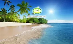 پوستردیواری ساحل کد 12647