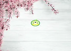 پوستردیواری سه بعدی 13211