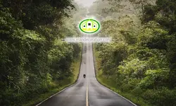 پوستردیواری طبیعت جاده در جنگل کد 5297