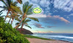 پوستردیواری ساحل کد 12641