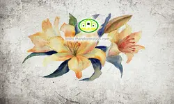 پوستردیواری گل آبرنگی زرد کد 12355