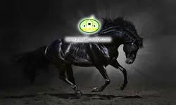 پوستردیواری اسب مشکی کد 12435