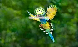 پوستردیواری پرنده کد 12528