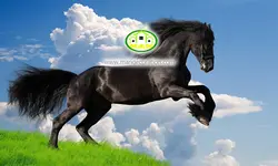 پوستردیواری اسب کد v12141