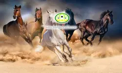 پوستردیواری اسب ها کد v12121