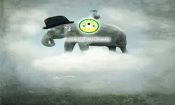 پوستردیواری فیل کد v12078