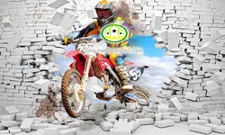 پوستردیواری موتور کد v12203