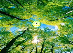 پوستردیواری طبیعت کد 13181