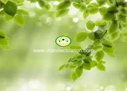 پوستردیواری طبیعت کد 13243