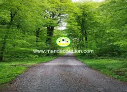 پوستردیواری طبیعت کد 13326