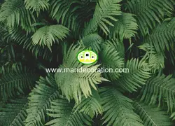 پوستردیواری برگ درختان سبز کد 13035