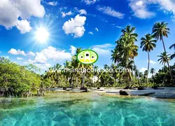 پوستردیواری طبیعت کد 13351