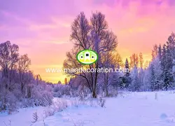 پوستردیواری طبیعت کد 13357