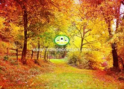 پوستردیواری طبیعت کد 13369