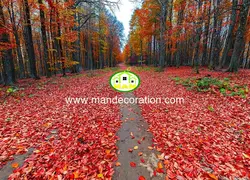 پوستردیواری طبیعت کد 13366