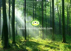 پوستردیواری طبیعت کد 13355