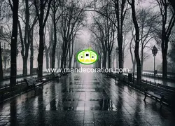 پوستردیواری منظره جنگل سیاه و سفید 13070