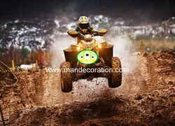 پوستردیواری موتور 13274