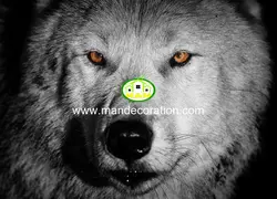 پوستردیواری سر گرگ 13260