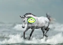 پوستردیواری اسب 13301