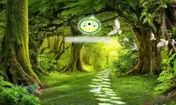 پوستردیواری طبیعت راهی در جنگل کد 5306