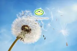 آسمان مجازی قاصدک کد 182