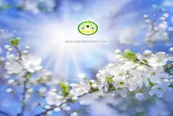 آسمان مجازی شکوفه کد 3036