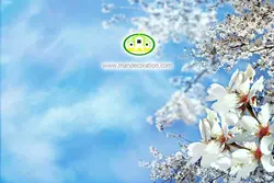 آسمان مجازی شکوفه کد 3098