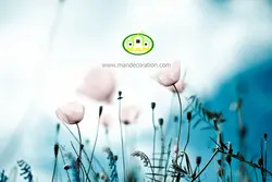 آسمان مجازی شکوفه کد 3207