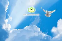 آسمان مجازی آسمان آبی کد 3080