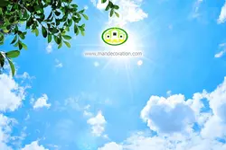 آسمان مجازی شاخه درختان کد 3078