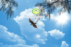آسمان مجازی شاخه درختان کد 112