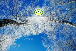 آسمان مجازی شاخه درختان کد 147