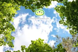 آسمان مجازی شاخه درختان کد 152