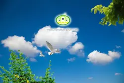 آسمان مجازی شاخه درختان کد 244