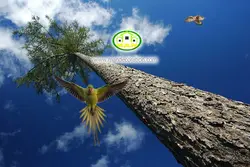 آسمان مجازی شاخه درختان کد 238