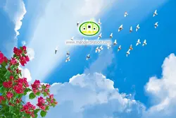 آسمان مجازی شکوفه کد 110