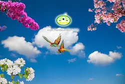 آسمان مجازی شکوفه کد 114