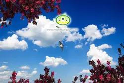 آسمان مجازی شکوفه کد 127