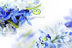 آسمان مجازی گل کد 181