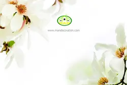 آسمان مجازی گل کد 179