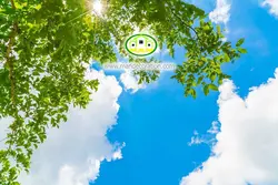 آسمان مجازی شاخه آسمان کد 3032