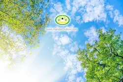 آسمان مجازی شاخه درخت کد 3031