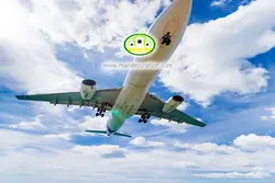 آسمان مجازی هواپیما کد 225